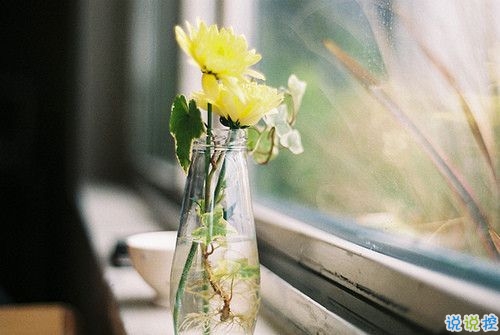 2019晚安心語(yǔ)心情說(shuō)說(shuō)大全 每天睡前一句晚安說(shuō)說(shuō)致所有人2