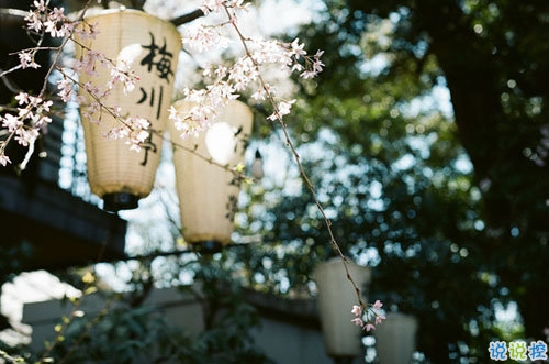 文字控最愛唯美詩意的圖片句子 所有的記憶都是潮濕的4