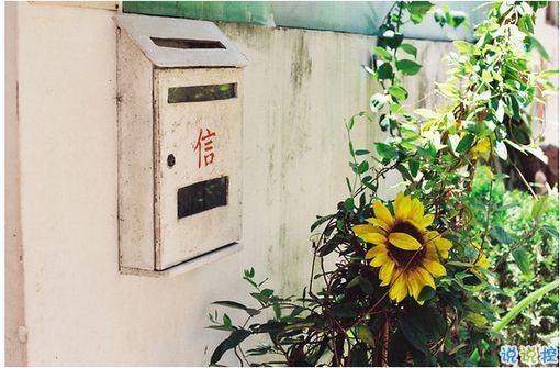 唯美簡單的愛情說說帶圖片 去見你想見的人吧7