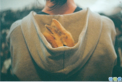 qq個(gè)性說(shuō)說(shuō)大全好聽(tīng)的 獨(dú)一無(wú)二的個(gè)性說(shuō)說(shuō)2019最新2