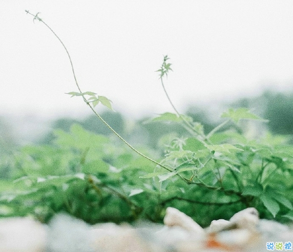 關(guān)于一個(gè)人旅行的精辟哲理說說帶圖片 每一次旅行其實(shí)都是一場修行1
