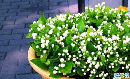 表示無聊的朋友圈說說帶圖片：無聊，是人生的一種正?，F(xiàn)象14