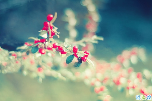 向女朋友求婚的話真實浪漫點 2019求婚句子大全簡單帶圖片4