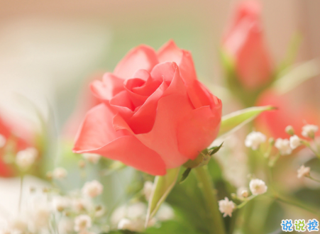 微信朋友圈治愈系早安心語說說 溫暖小清新早安說說大全11