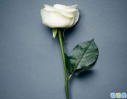 感到心痛的傷感愛情說說配圖 痛到心在滴血的說說帶圖片15