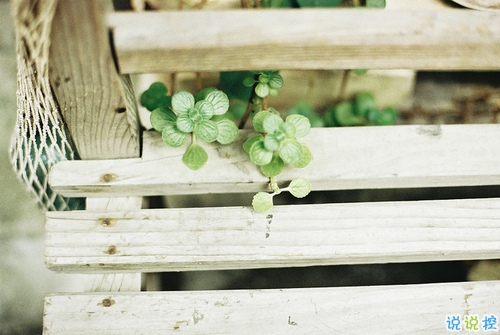讓人溫暖的說(shuō)說(shuō)大全很有安全感 適合向女生表白的暖心說(shuō)話1
