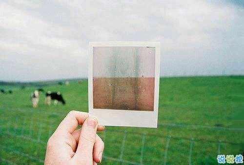 成長青春治愈系句子帶圖片 很暖心的治愈系說說簡短一句話5