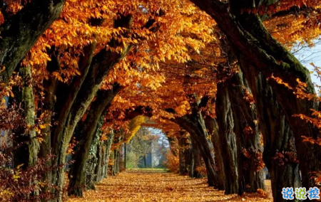 今日立秋圖片說說2018最新版 立秋的經(jīng)典說說帶圖片精選1