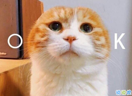 女生超甜的心情說(shuō)說(shuō)關(guān)于愛(ài)情帶圖片 很甜很撩的話適合發(fā)朋友圈配圖4