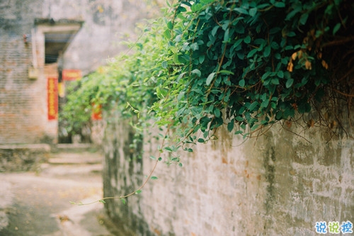 讓人聽(tīng)了心酸淚目的一些話(huà)帶圖片 看完瞬間眼紅忍不住想哭7