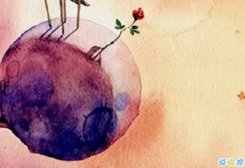 經典小王子中的有哲理而又簡單的句子 如果你被一朵花馴養(yǎng)5