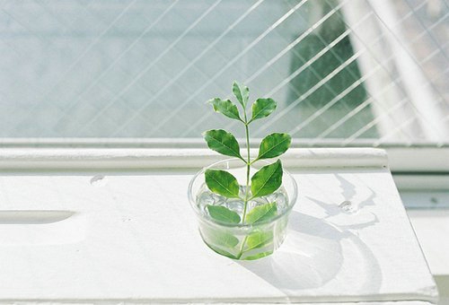 甜蜜浪漫情話只想說給你聽的說說帶圖片 想化作一陣風(fēng)輕柔的撫過你13