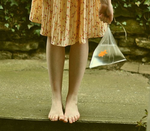 提到愛情有時(shí)會(huì)心痛心碎的傷感說說帶圖片11