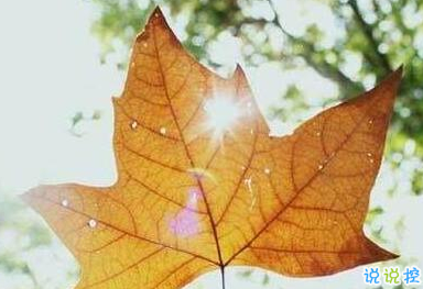 唯美時(shí)尚愛情說說帶圖片 很好看的唯美愛情說說精選3