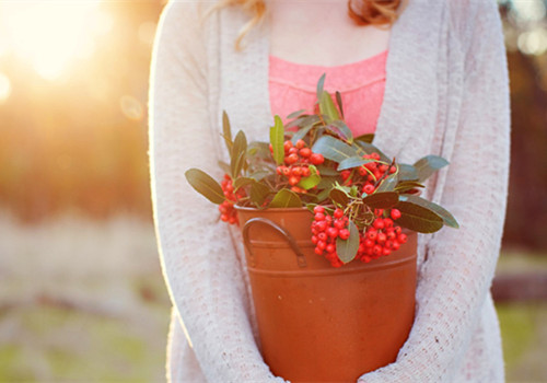 關(guān)于青春成長的美到極致的唯美句子帶圖片7