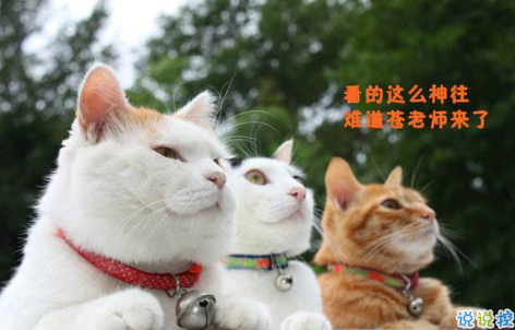 2018清明節(jié)搞笑說說：清明節(jié)應(yīng)該回小學初中掃掃墓，因為那里埋葬了你的青春。1