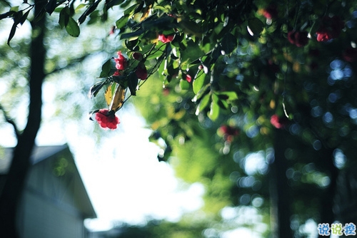 關于愛情很心酸的傷感說說 文藝范傷感愛情說說文字控喜歡的2