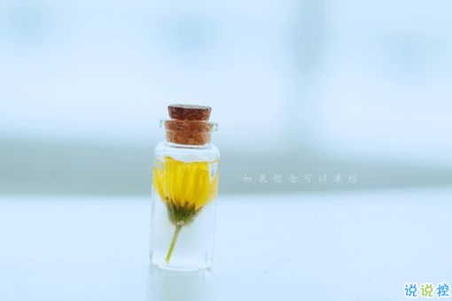 獨(dú)一無二朋友圈個(gè)性說說帶圖片 感謝相識不計(jì)消失回頭是狗1