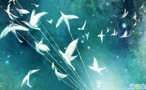 經典小王子中的有哲理而又簡單的句子 如果你被一朵花馴養(yǎng)10