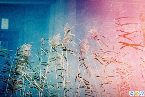 感到心酸卻無能為力的現(xiàn)實(shí)說說 生活讓人內(nèi)心酸痛的生活現(xiàn)實(shí)說說1