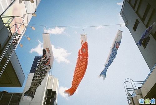 15條值得學習的勵志說說帶圖片 陽光簡短的勵志說說配圖3