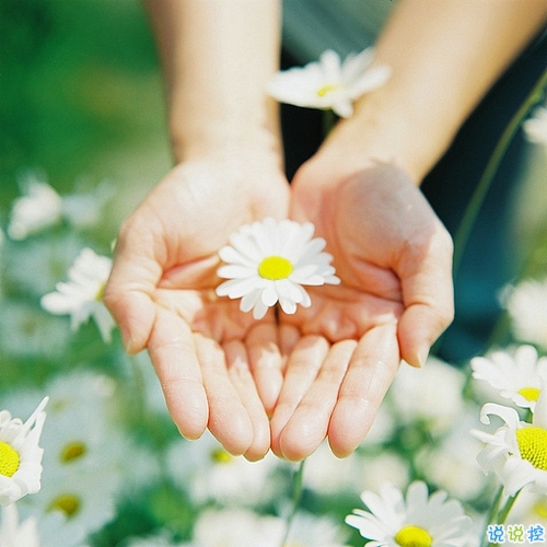 優(yōu)美說說唯美的句子配圖：海底月是天上月，只是鏡花水月5