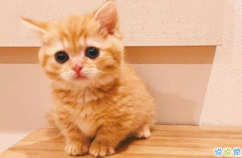 喜歡一個人的說說圖片 說說喜歡一個人是什么感覺3