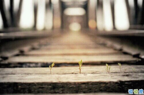 一個人情緒低落的傷感說說帶圖片 受過傷流過淚的難過說說15