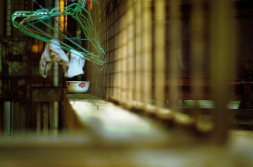 適合有時候感到孤獨寂寞時發(fā)的唯美文藝說說帶圖片2