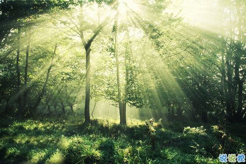 女生跟男朋友撒嬌的說說帶圖片 女生寫給男生的可愛情話12