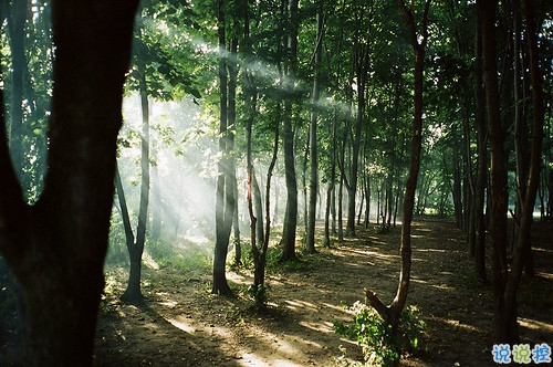 鼓舞我們不斷努力的經(jīng)典勵(lì)志圖片說(shuō)說(shuō) 太勵(lì)志了最經(jīng)典的說(shuō)說(shuō)帶圖片20186