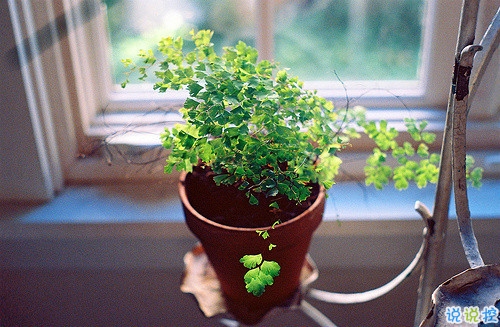 深夜傷心說說心情短語(yǔ)帶圖片 傷心說說短句子心情不好配圖5