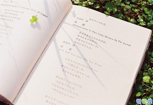 油膩膩的浪漫愛情說說帶圖片 唯美簡單的一句話愛情表白1