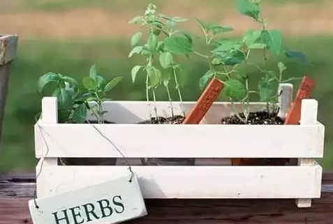 村上春樹經(jīng)典語錄大全，句句戳中你的內(nèi)心2