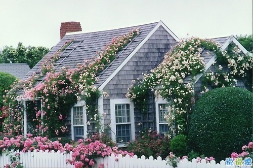 適合早晨發(fā)的朋友圈說說帶圖片 早上打了雞血的正能量句子13