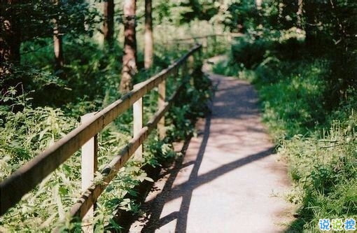 偶然看見的一句話可以打動你心 很經(jīng)典的愛情說說大全20181