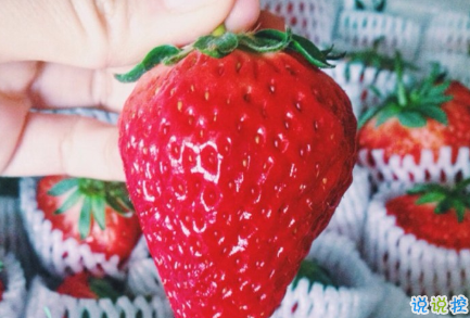 有關(guān)吃貨的朋友圈說(shuō)說(shuō)大全1