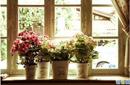 2018最火爆的個(gè)性說(shuō)說(shuō)帶圖片 獨(dú)一無(wú)二的朋友圈個(gè)性說(shuō)說(shuō)配圖6