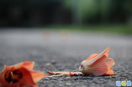 比較有深度很受歡迎的愛情說說帶圖片 對(duì)愛情有所感悟的經(jīng)典說說大全15