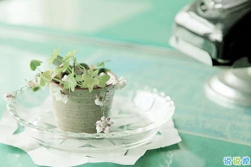 2019微信最火的說說 被點(diǎn)贊轉(zhuǎn)發(fā)最高的30條說說1