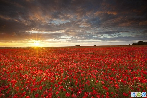 2019女生節(jié)微信說說大全帶圖片 三七女生節(jié)朋友圈祝福語說說8