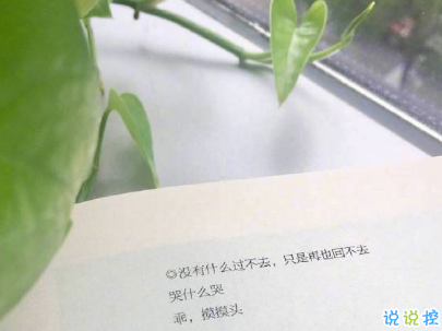 微信個(gè)性說說簡(jiǎn)短帶圖片 很不一樣的微信說說精選14