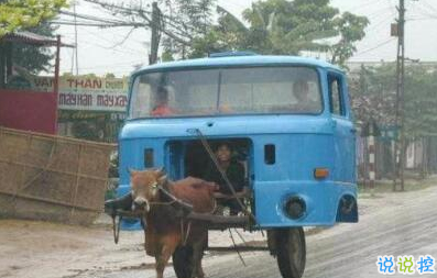 有意思的圖片加說說 適合發(fā)朋友圈的搞笑段子圖片2