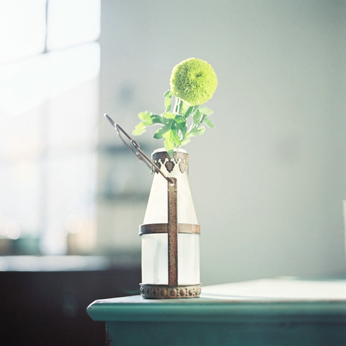 甜蜜浪漫文藝小清新喜歡的愛情圖片說說 決定做你的“小太陽”溫暖你保護你7