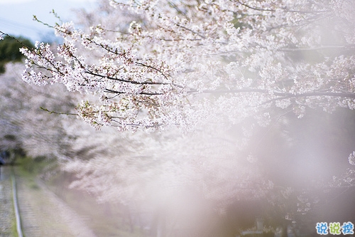 最新女生唯美說(shuō)說(shuō)帶圖片大全 有詩(shī)意很文藝的一些唯美句子1