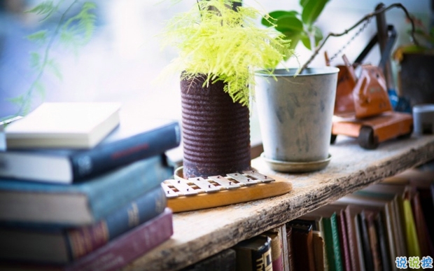 2019婦女節(jié)朋友圈說說大全配圖 溫馨浪漫的38婦女節(jié)說說帶圖片13