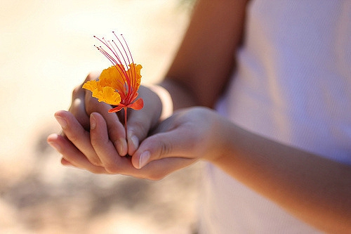 關(guān)于夏天的唯美文藝說說帶圖片 夏有彤云蔚然成風(fēng)13