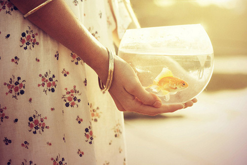 超經(jīng)典的關(guān)于人生和成長的激勵(lì)你前行的正能量說說帶圖片6