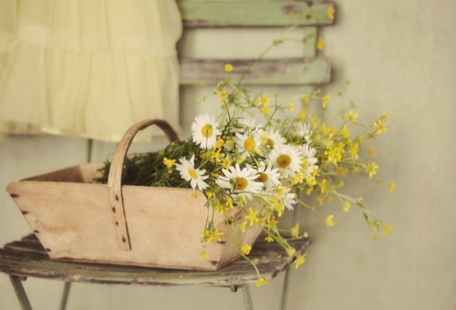 關(guān)于青春和成長的適合文藝女生發(fā)說說的句子帶圖片11