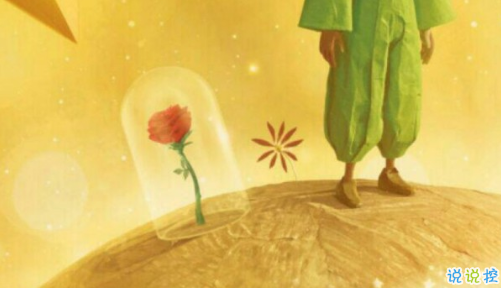 經典小王子中的有哲理而又簡單的句子 如果你被一朵花馴養(yǎng)8
